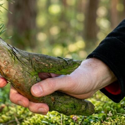 Зелёные братья: 5 растений, которым должен сказать спасибо каждый мужик