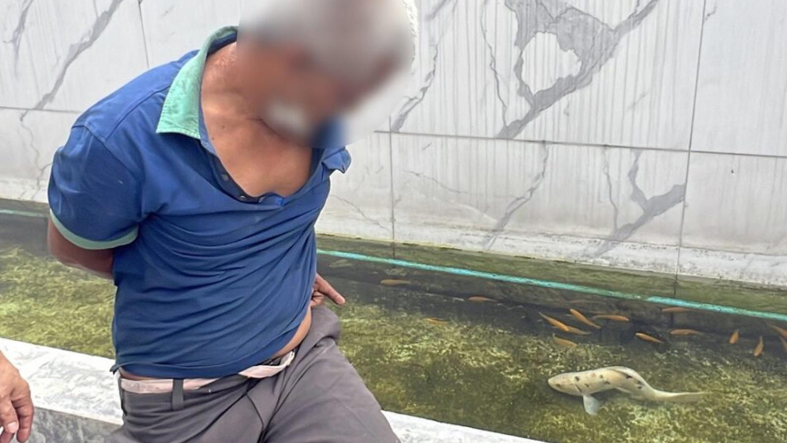 Декоративные карпы кои в частном пруду в Бангкоке, куда по ночам наведывался 51-летний Сутхичай, — обложка выпуска «Понедельник начинается с дичи» № 528.